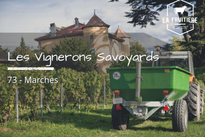 Les Vignerons Savoyards