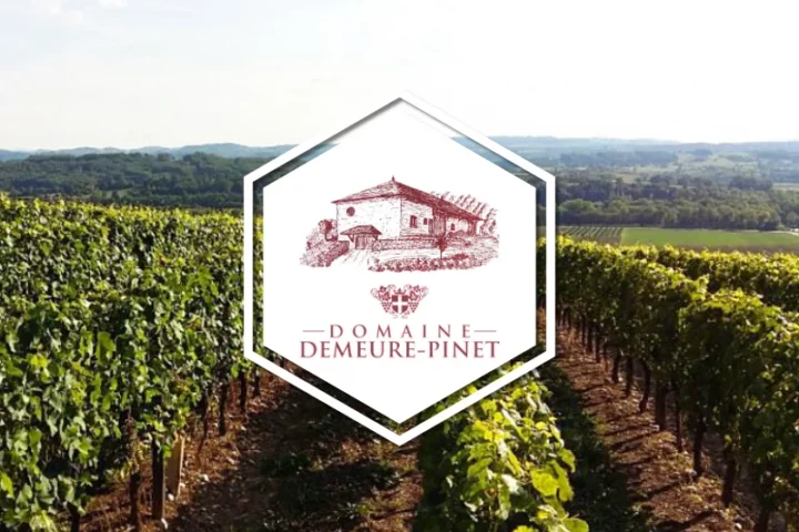 Domaine Demeure Pinet - Saint-Genix-sur-Guiers